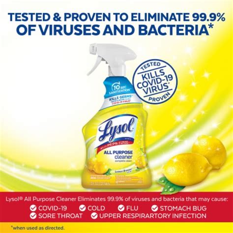 Lysol Lemon Breeze All Purpose Cleaner Spray 32 Fl Oz Pick N Save