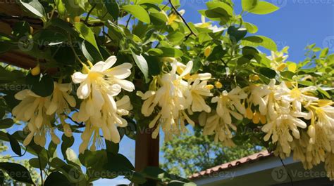 AI generated A garden trellis covered in fragrant honeysuckle