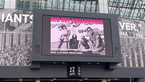 ハライチ澤部 Red Hot Chili Peppers東京ドーム公演で号泣した話 miyearnZZ Labo