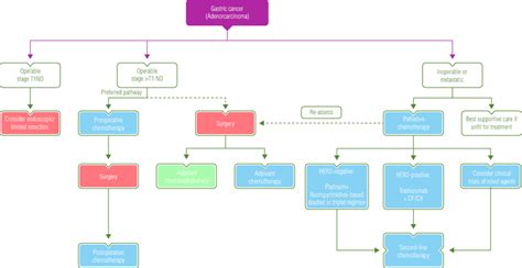 Gastric cancer treatment algorithm. HER2, human epidermal growth factor ...