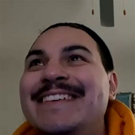 Mrkitty