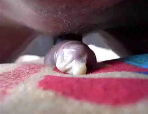 Gay Man Wearing A Used Condom ThisVid