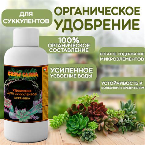 Органическое удобрение для суккулентов - купить с доставкой по выгодным ...