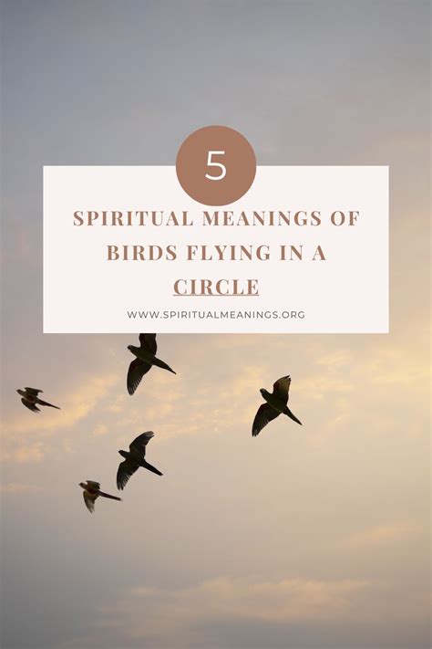 Spiritual Meanings Of Birds Flying In A Circle