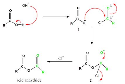 Acid Anhydride Examples