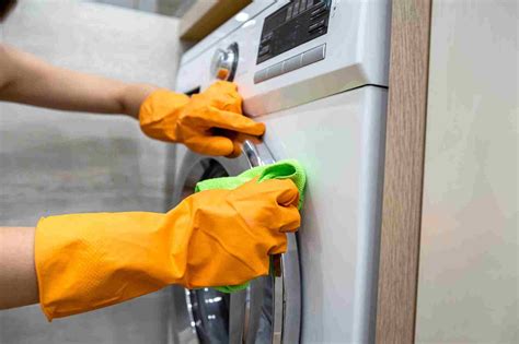How To Clean Rubber Gasket In Washing Machine Cleaninup