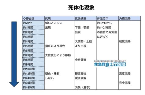 【社会死6項目の判断基準】救急隊が明らかに死亡していると認めるときとは？ | 救急救命士学習塾