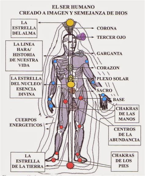 Sistema de Sanación Natural Tinerfe Los Terapeutas del Sistema de