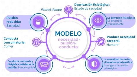 Diagrama Del Modelo De Necesidad pulsión conducta Motivacio