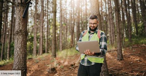 En quoi consiste le métier de garde forestier Geo fr