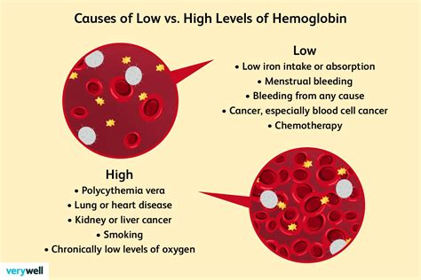 Hemoglobin Levels What High And Low Hemoglobin Mean