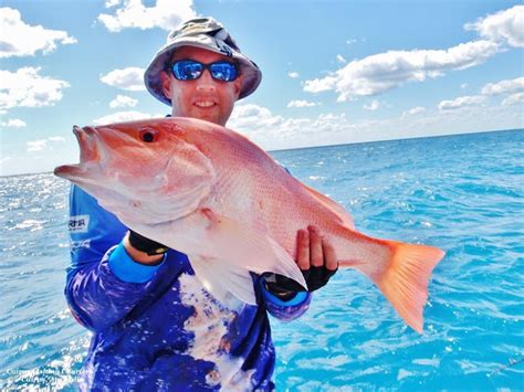 North Queensland Fishing Cairns And Great Barrier Reef