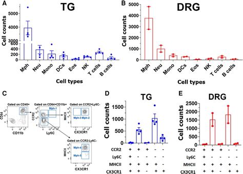 Frontiers Transcriptional Profiles Of Non Neuronal And Immune Cells