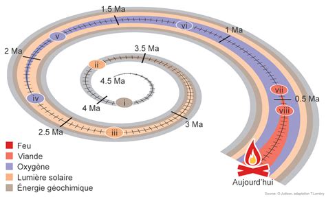 Les Grandes étapes De Lévolution De La Terre Et De La Vie