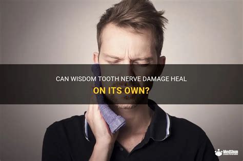 Can Wisdom Tooth Nerve Damage Heal On Its Own Medshun