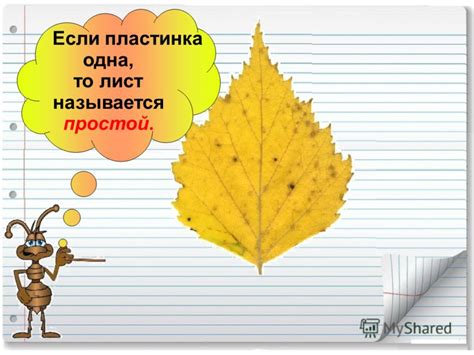 Презентация на тему: "Что это за листья ? Окружающий мир 1 класс ...