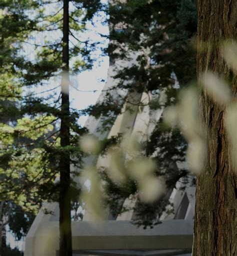 Transamerica Pyramid Center — Transamerica Redwood Park