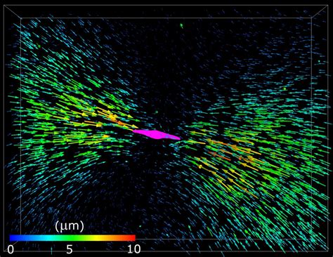 Cancer Cells Talk To Their Environment And It Talks Back