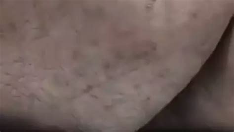 Stin Doulia Gay Porn XHamster