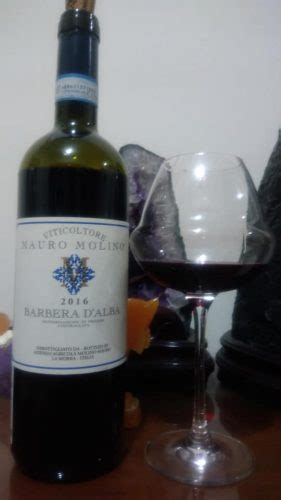 天母限定：2019家樂福葡萄酒 Viticoltore Mauro Molino 2016 Barbera D’alba 2016 兩酒之間~葡萄酒and威士忌