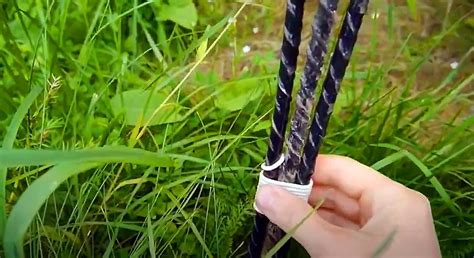 Выбираем опору для томатов, перцев, огурцов, фасоли для подвязки | Сайт ...