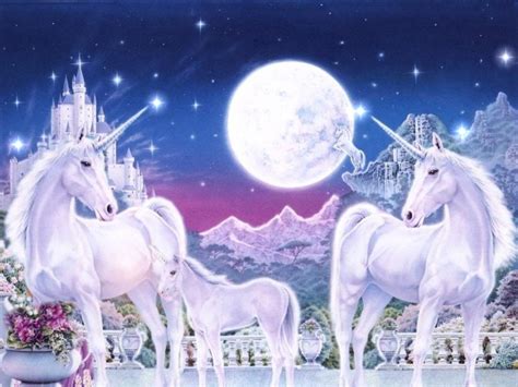 Magical Unicorns - Magical Creatures Wallpaper (40840598) - Fanpop