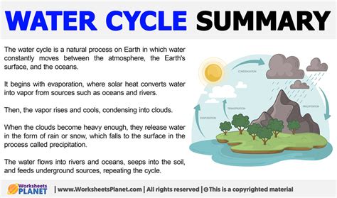 The Water Cycle Summary