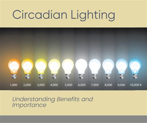 9 Benefits of Circadian Lighting - Inspired Technology
