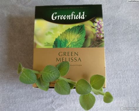 Чай Гринфилд (Greenfield) Green Melissa - «Чай Greenfield Green Melissa ...