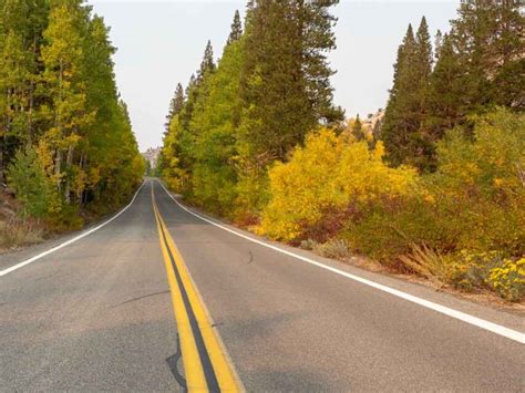 Your Highway 395 Road Trip Itinerary Everything You Need To Plan A Trip