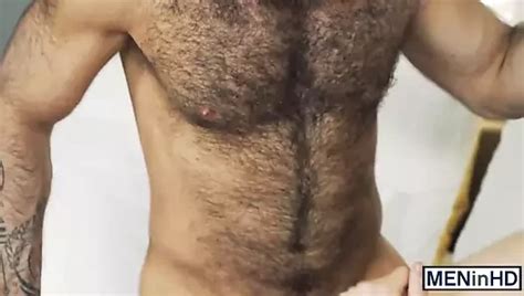 V Deos Gay De Peludo Musculoso Gratis Xhamster