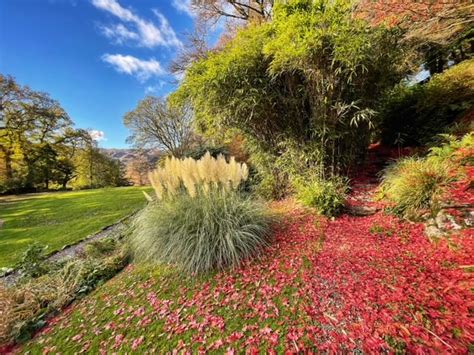 Autumn Walks In The Lake District Lake District Lovers Lifehop