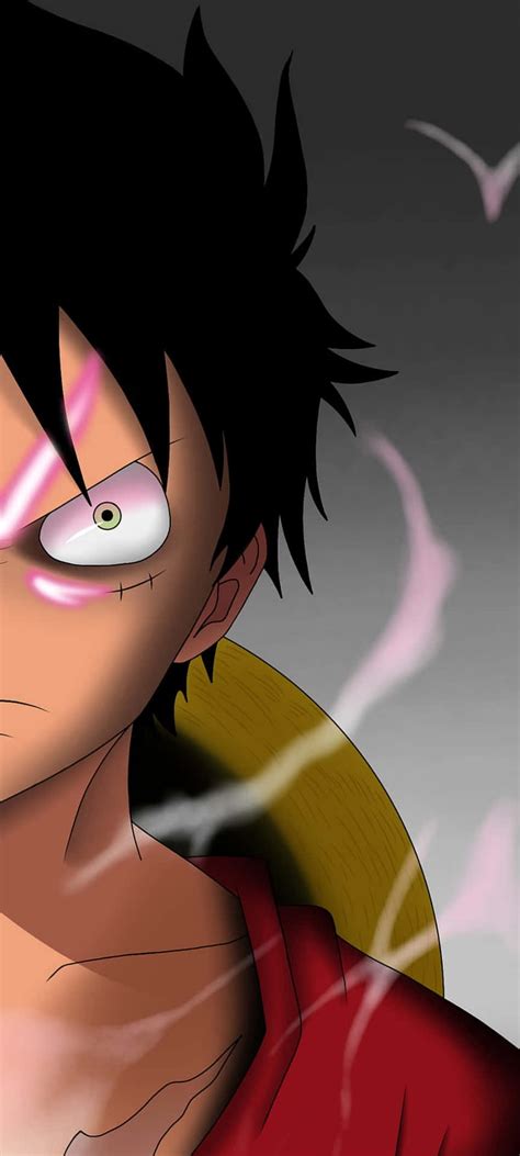 Monkey D Luffy Hd Wallpaper Android Infoupdate Org