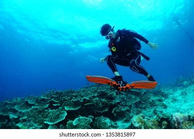 Cebu Scuba Diving Stock Photo 1353815897 | Shutterstock