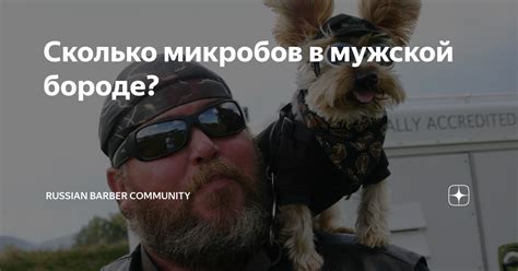 Сколько микробов в мужской бороде? | Russian Barber Community | Дзен