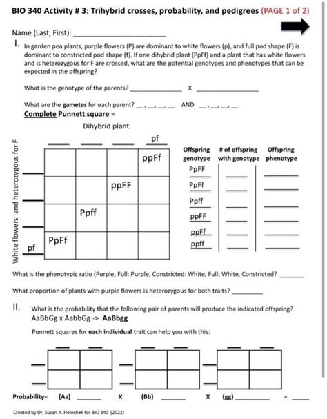 Solved Bio Activity Trihybrid Crosses Probability Chegg