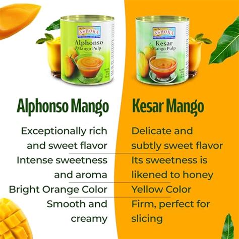 Snapklik Ashoka Canned Mango Pulp Premium Alphonso Mango Extract