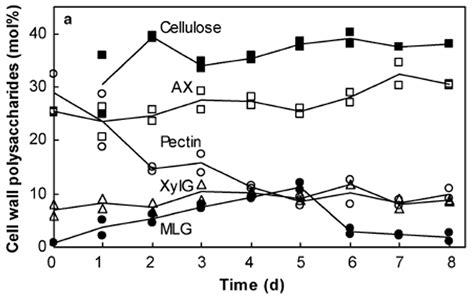 frontiers evolution  development  cell walls  cereal grains