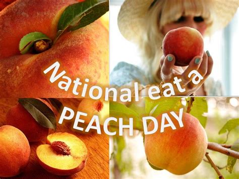 National Peach Day 2024 Date Andra Oralee