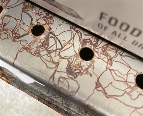 Anybody else’s shelves get these weird worm like rust marks? 🤔 : r/petco