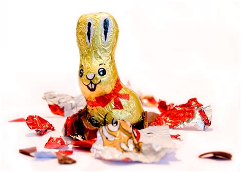Chocolate Bunny Free Stock Photo Freeimages