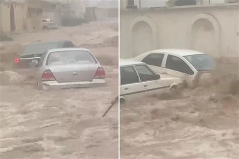 Black Friday Sex Robot Is Off And Comes With Designer Vagina And Vital Care Tip Daily Star