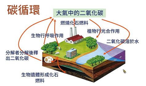 最新消息 國立中興大學土壤環境科學系