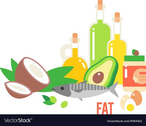 Different kind of healthy fat Royalty Free Vector Image