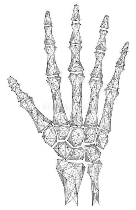 Bones Of The Hand Stock Vector Illustration Of Artwork 281593866