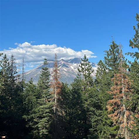 Will Smith S Daughter Willow Commands Attention In Tiny Bikini During Jaw Dropping Vacation HELLO