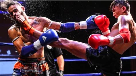 Muay Thai Greatest Knockouts Compilation Youtube