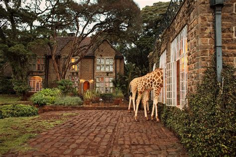 Dining With Giraffes At Kenyan Manor Hotel In Pictures Manor Hotel