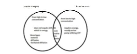 SOLUTION: Types of Cellular Transport - Studypool