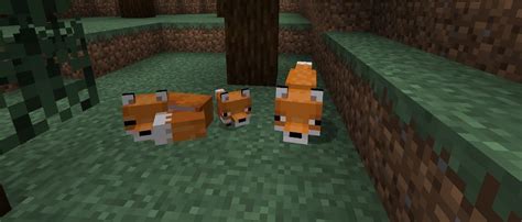 Cara Menjinakan Rubah Di Minecraft
